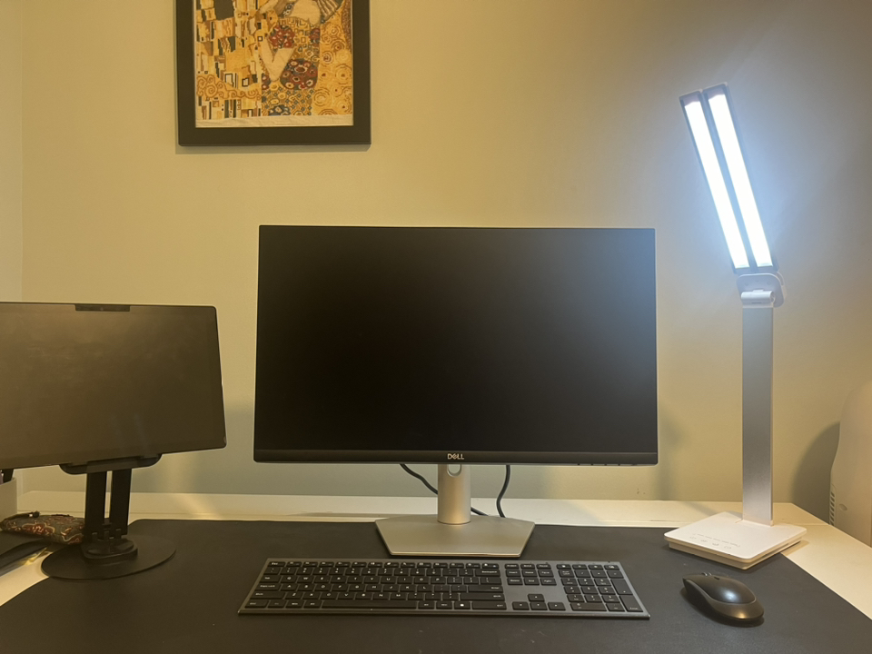 Dell 24 Monitor - MOVING SALE