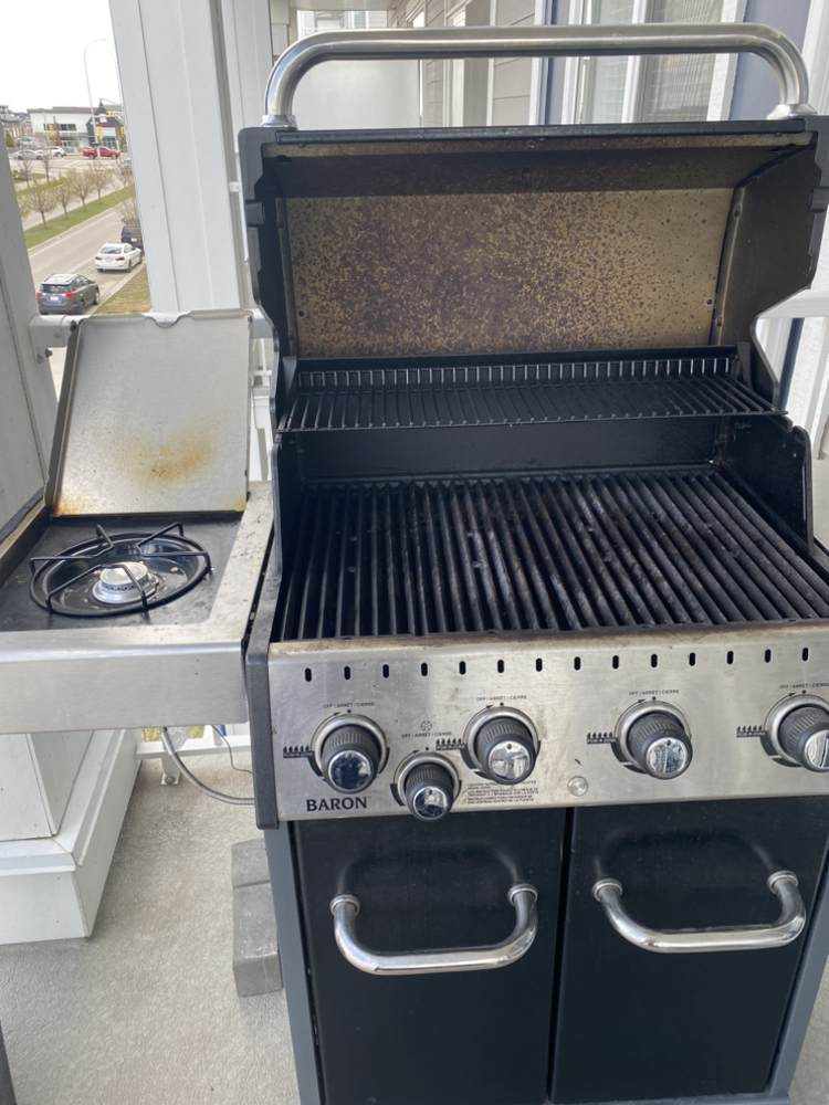 BBQ Natural Gas - photo 2