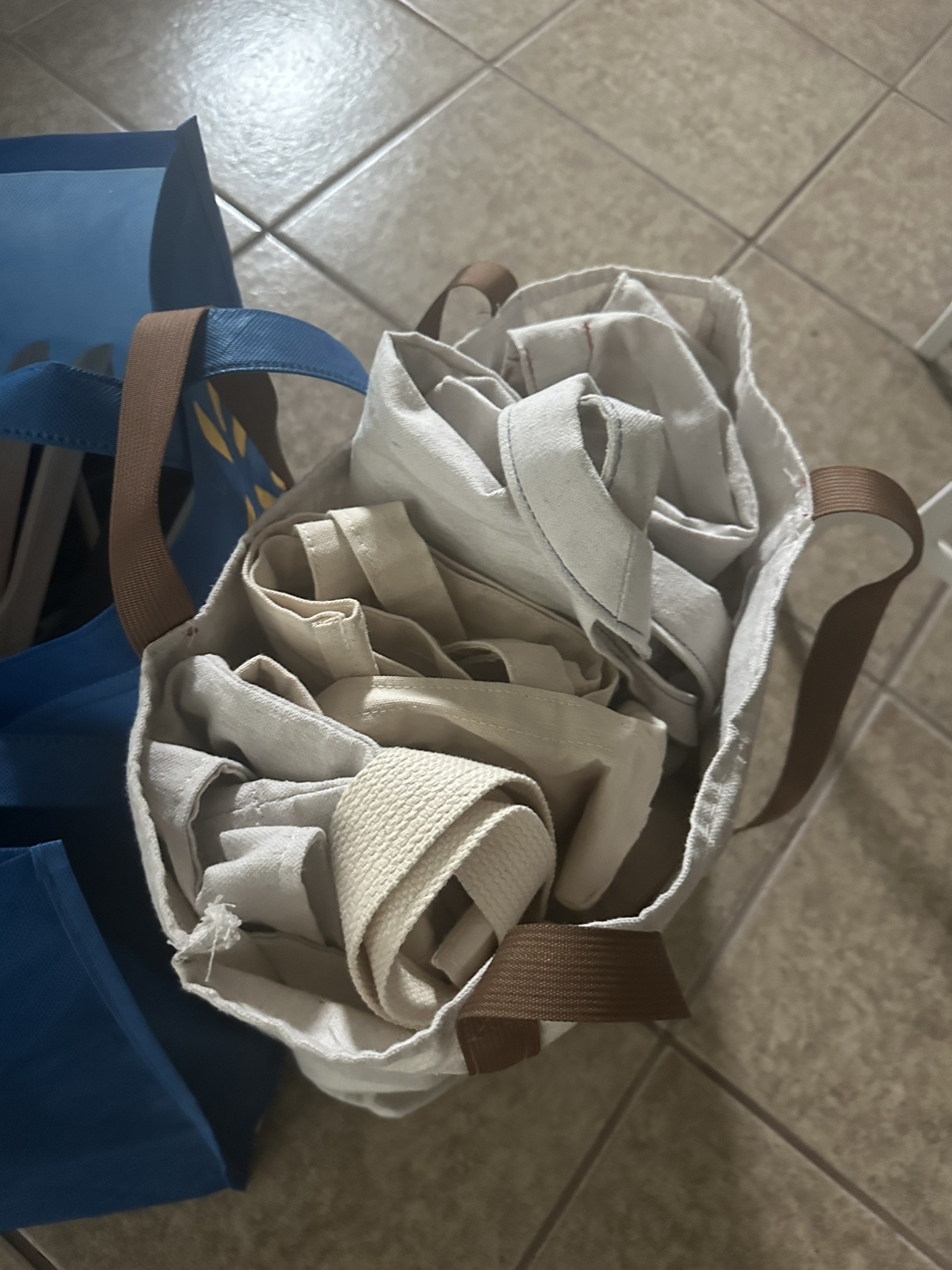 Assorted Canvas Reuseable Bags