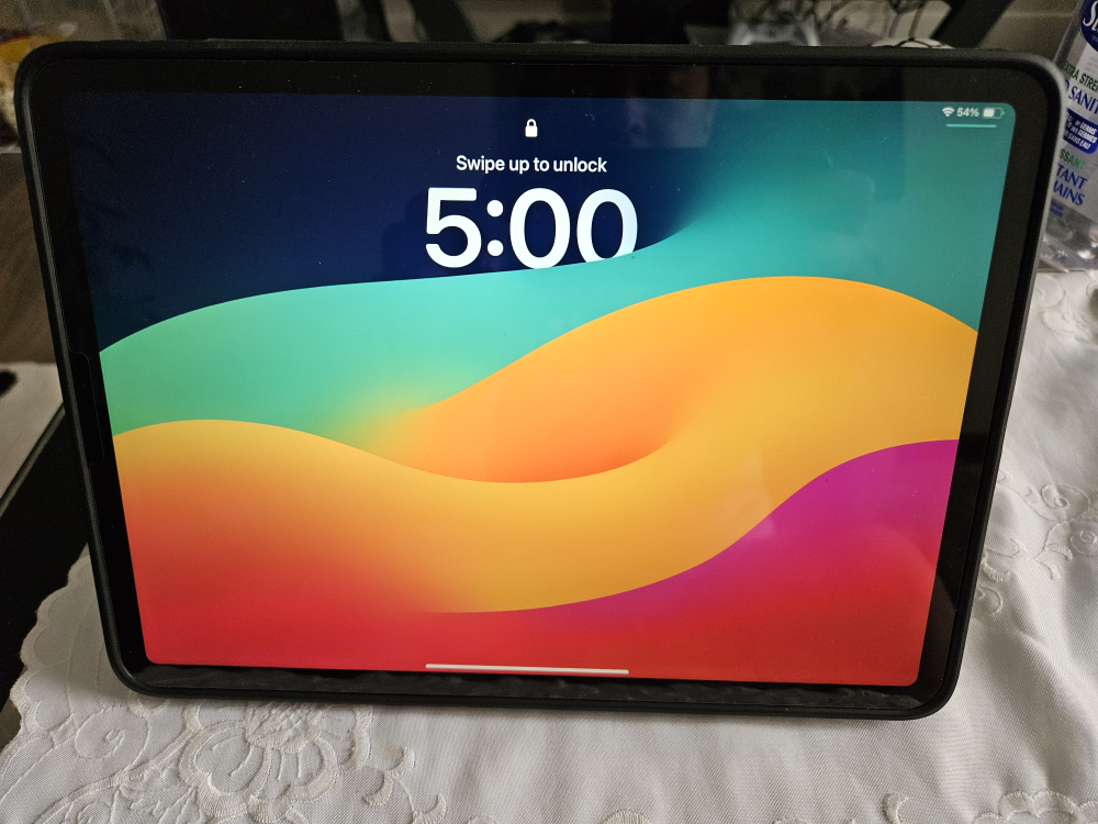Mint Condition iPad Pro 11" 4th Gen M2 128GB with Cellular