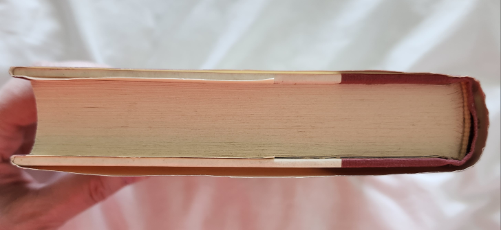 WHAT NOW? Words Of Wisdom For Life After Graduation image indicator(7)