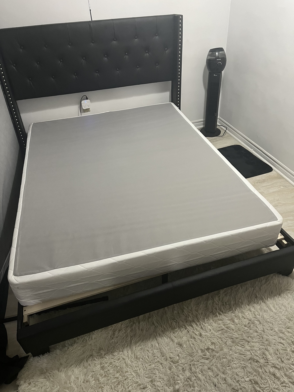 Queen Box Spring Only
