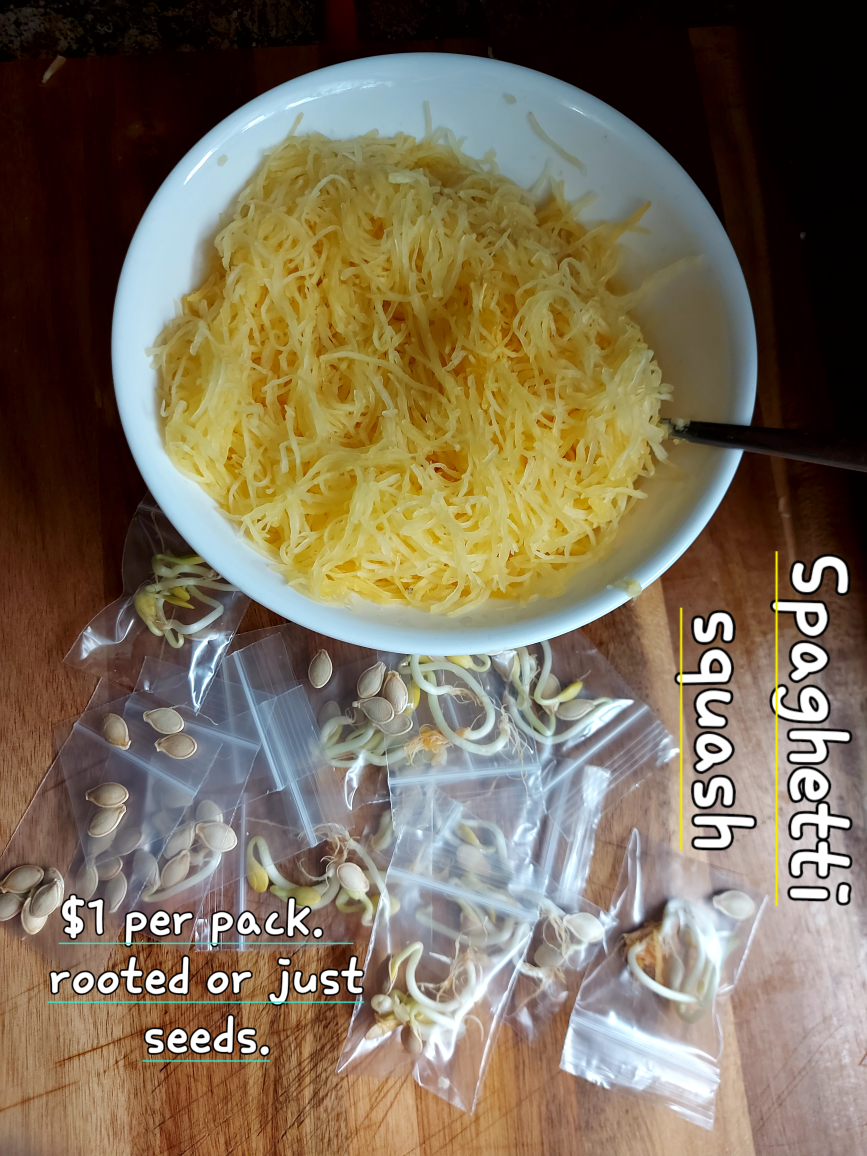 spaghetti squash and mint thumbnail