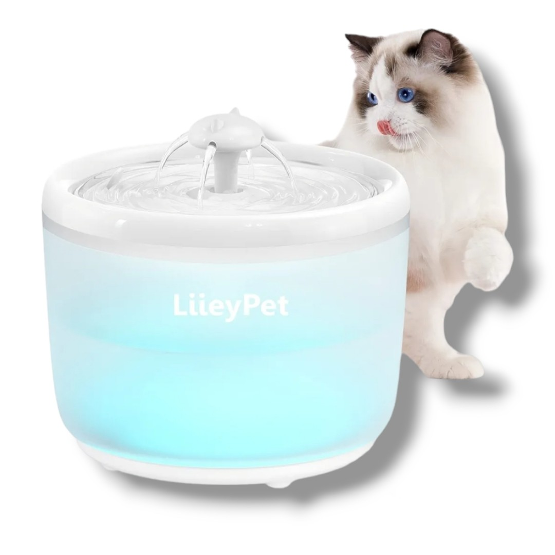 Pet Water Fountain + Travel Water Bottle thumbnail