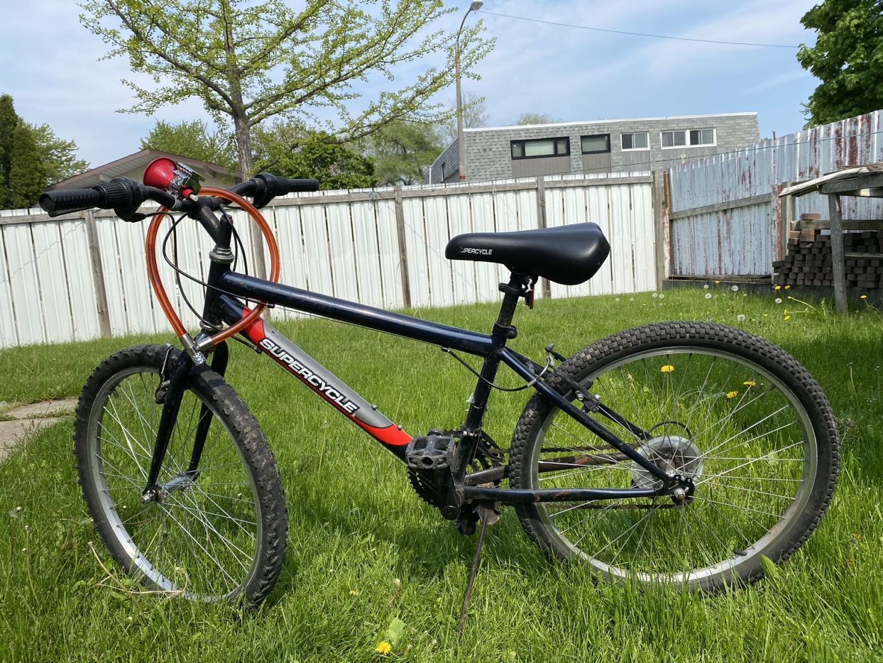 Adult bike