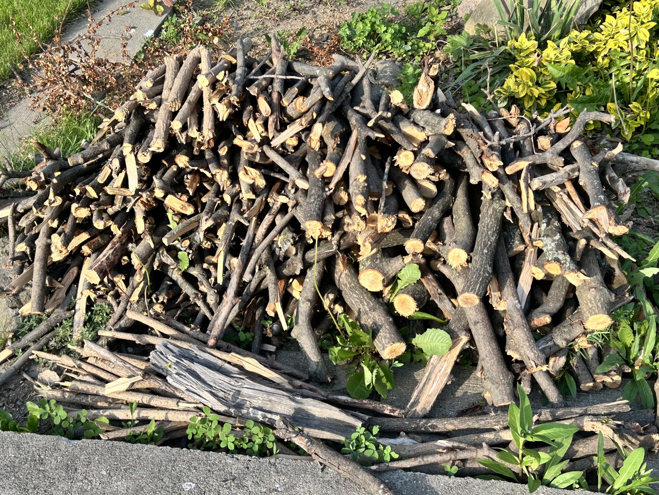 Firewood #freecycle