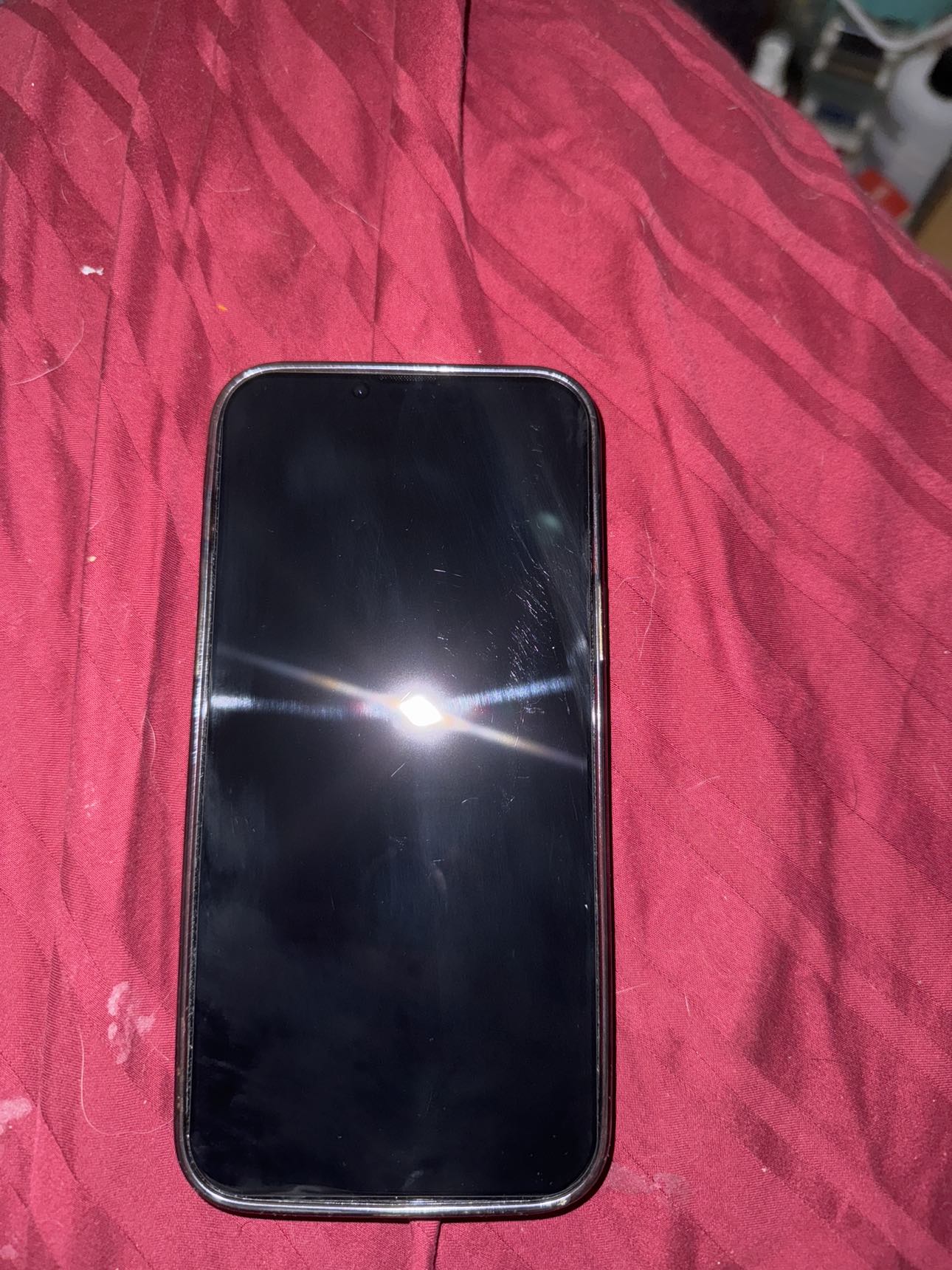 iPhone 13 Pro Max