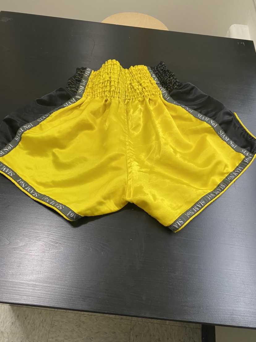 Muay Thai - photo 3