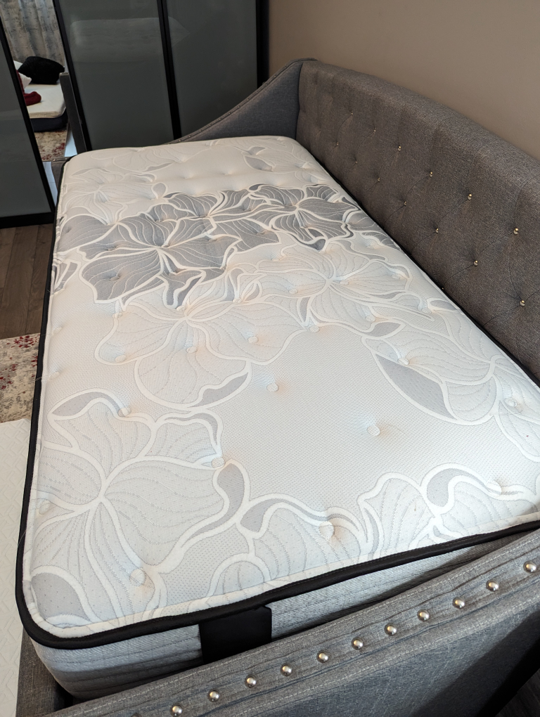 NEW Twin Mattress Sealy ProBack Plus Posturepedic