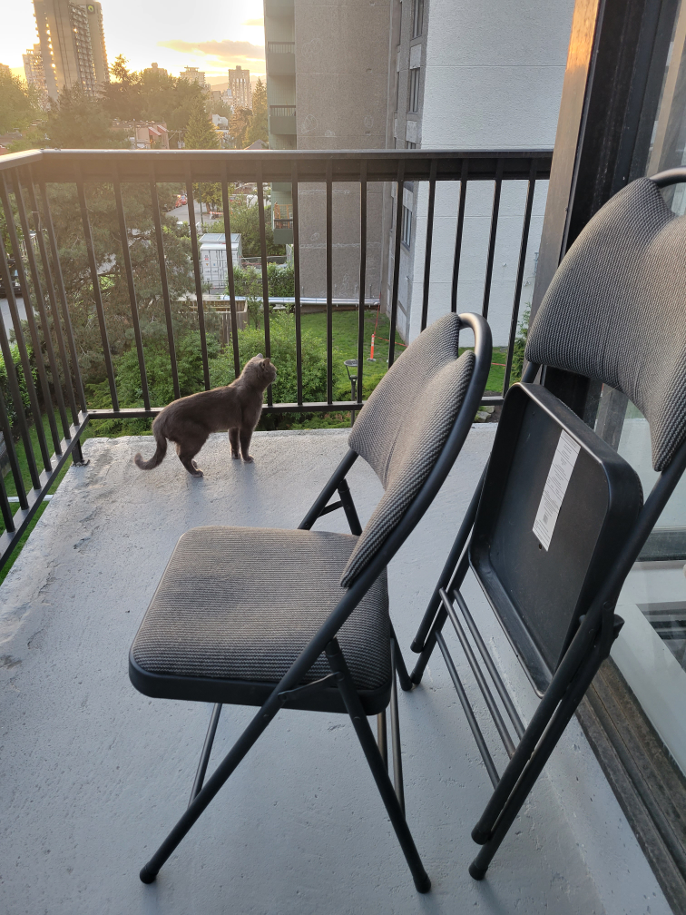 2 folding chairs