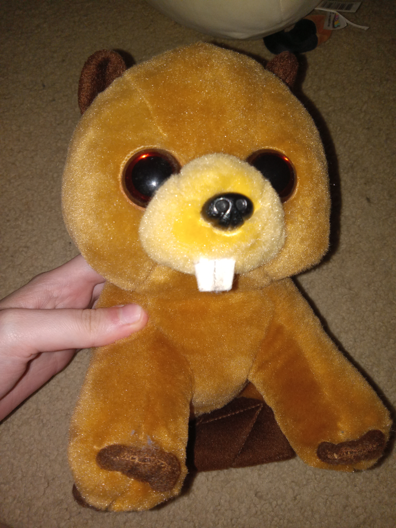 🥕 beaver beanie boo