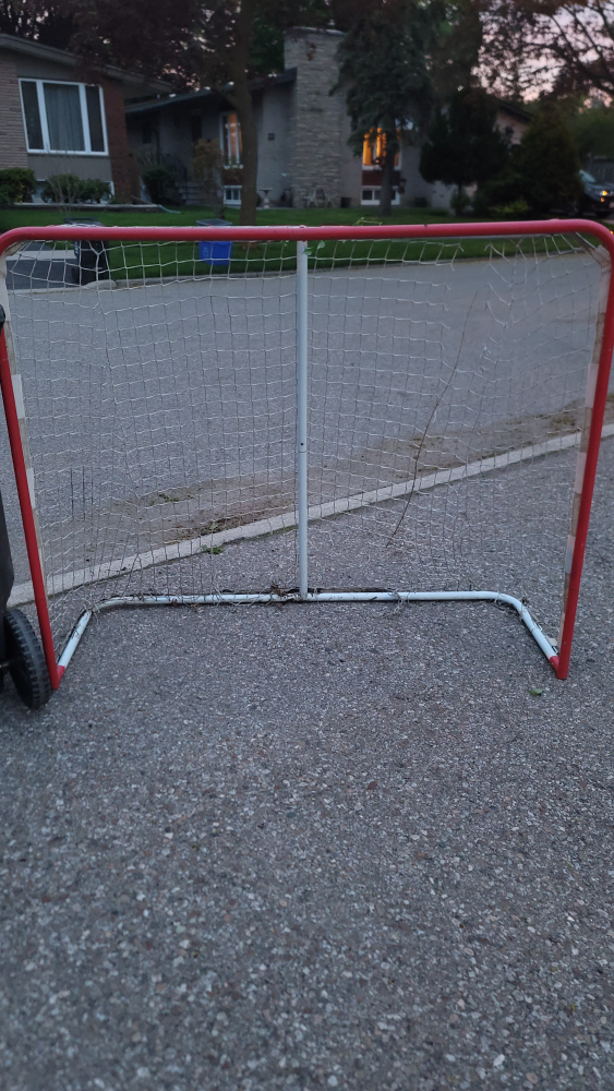 hockey net