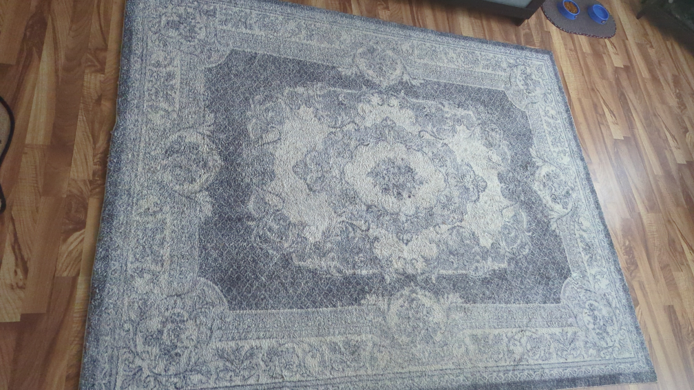 moving sale blue carpet