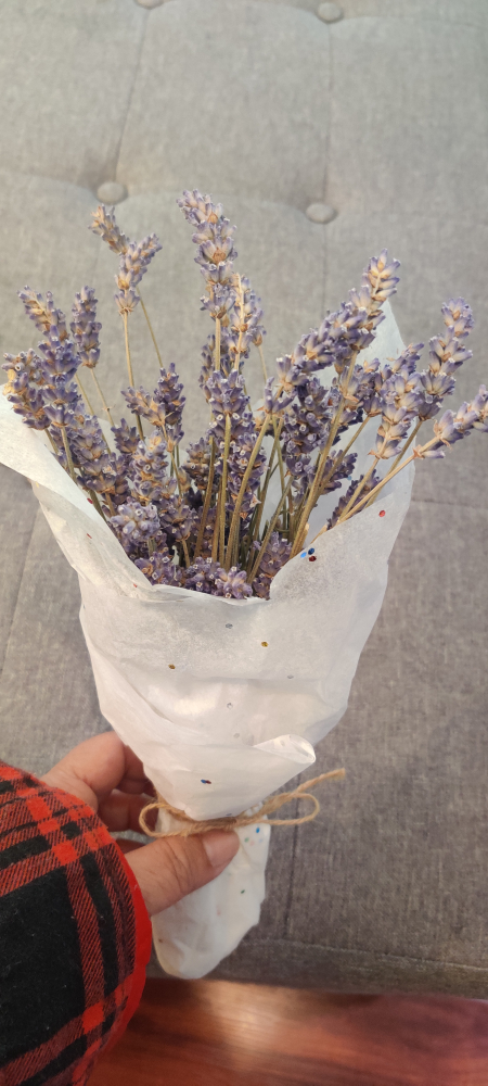 Small bunch of dried Lavender image indicator(2)