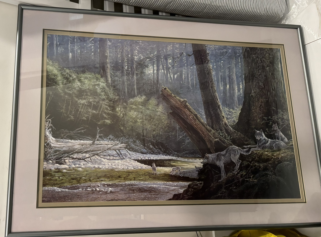 Wolves in the Black Forest Frame