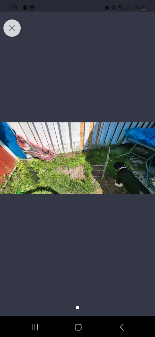 large animal fence