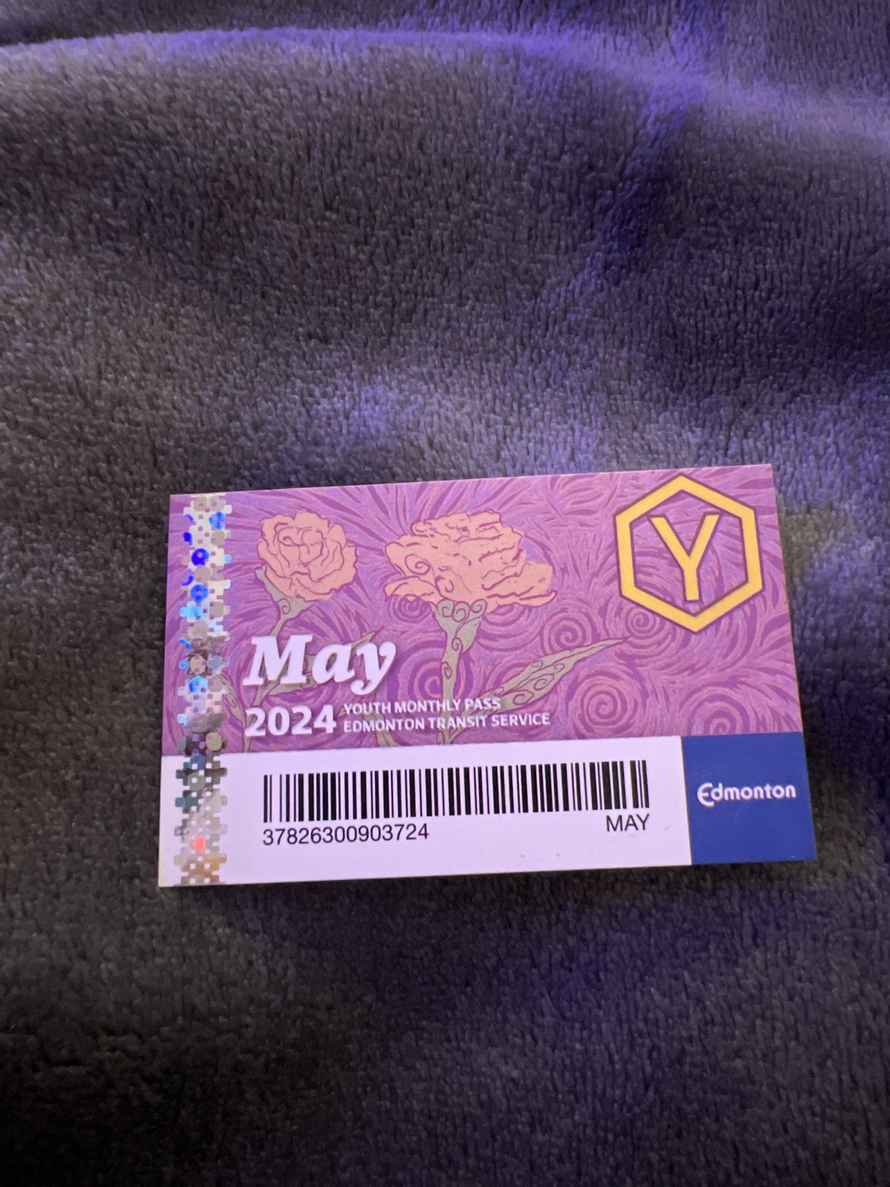 May bus pass