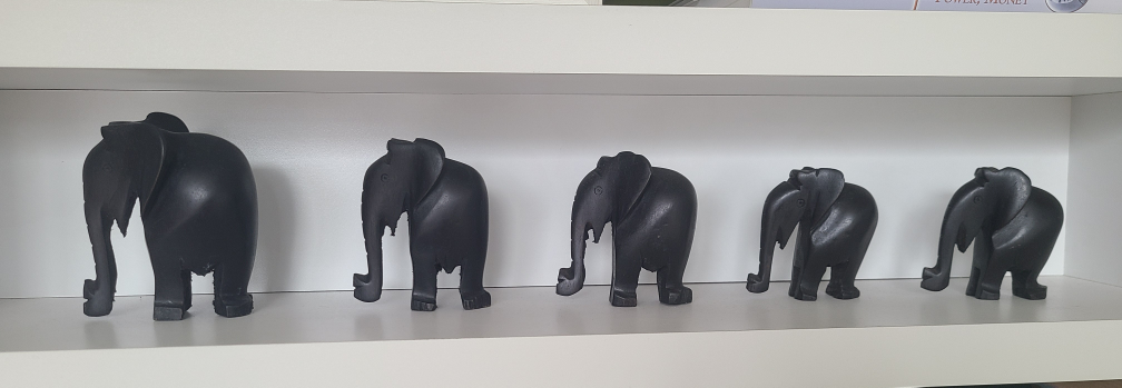 Tribe of elephants × 5 thumbnail