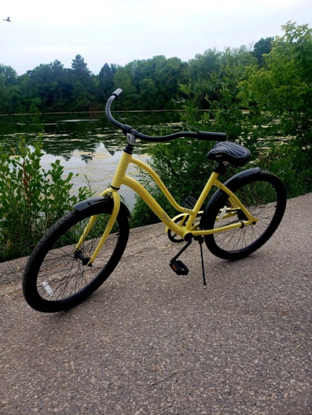 Cycle