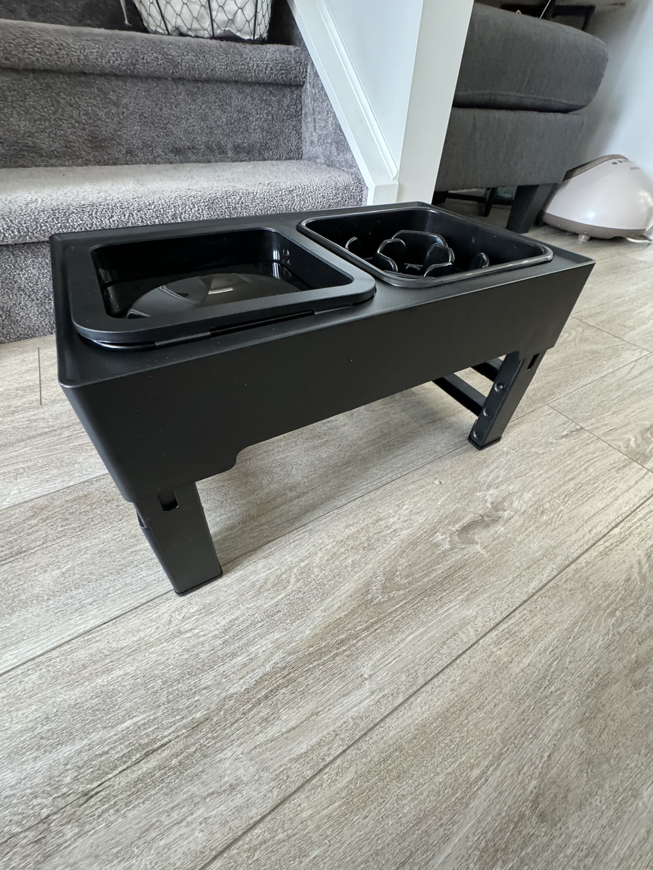Elevated Dog Bowl thumbnail