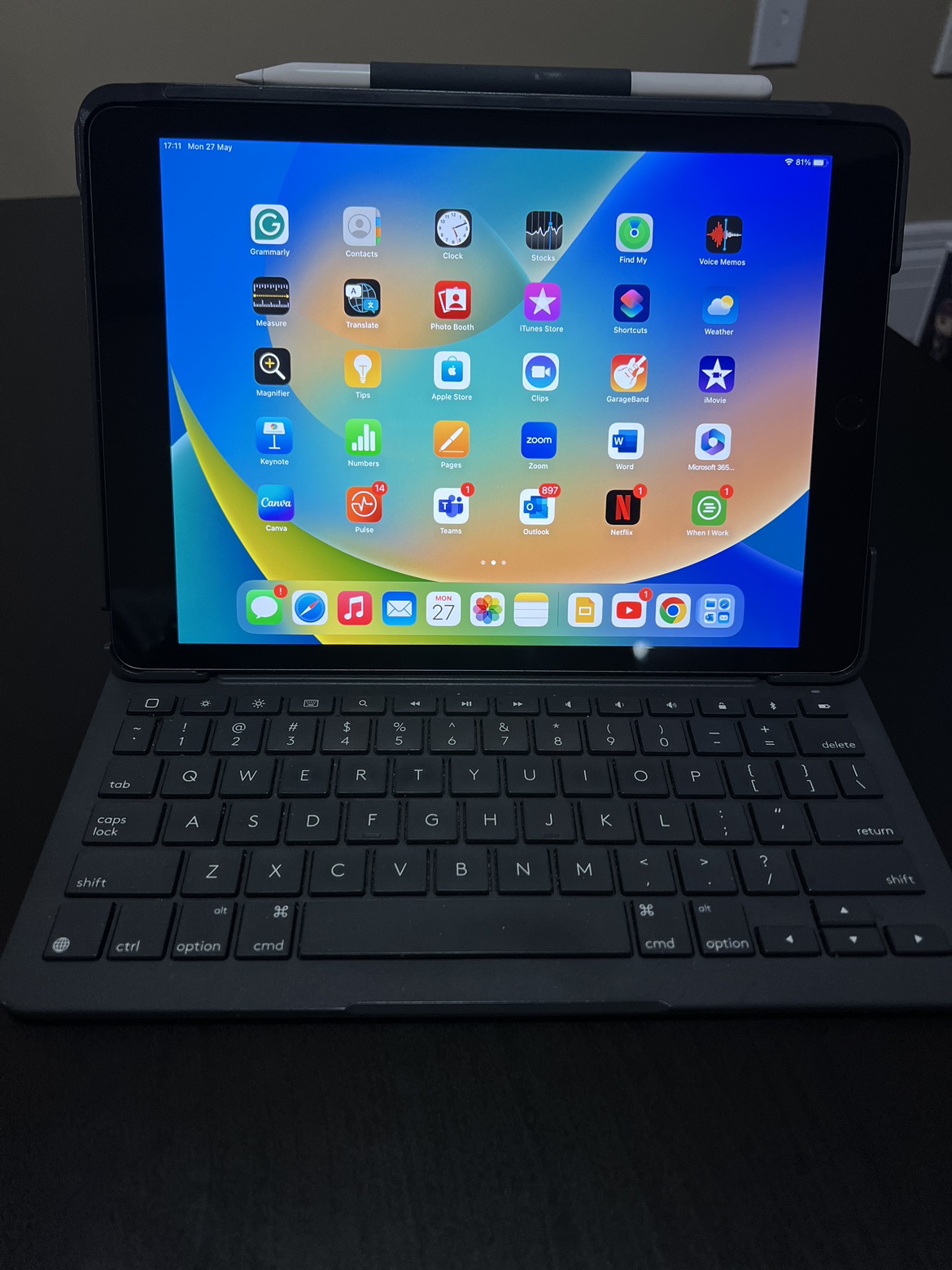 iPad. thumbnail
