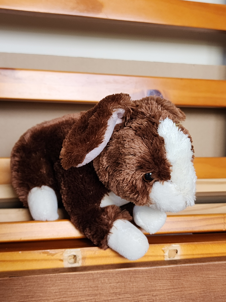 bunny stuffy thumbnail