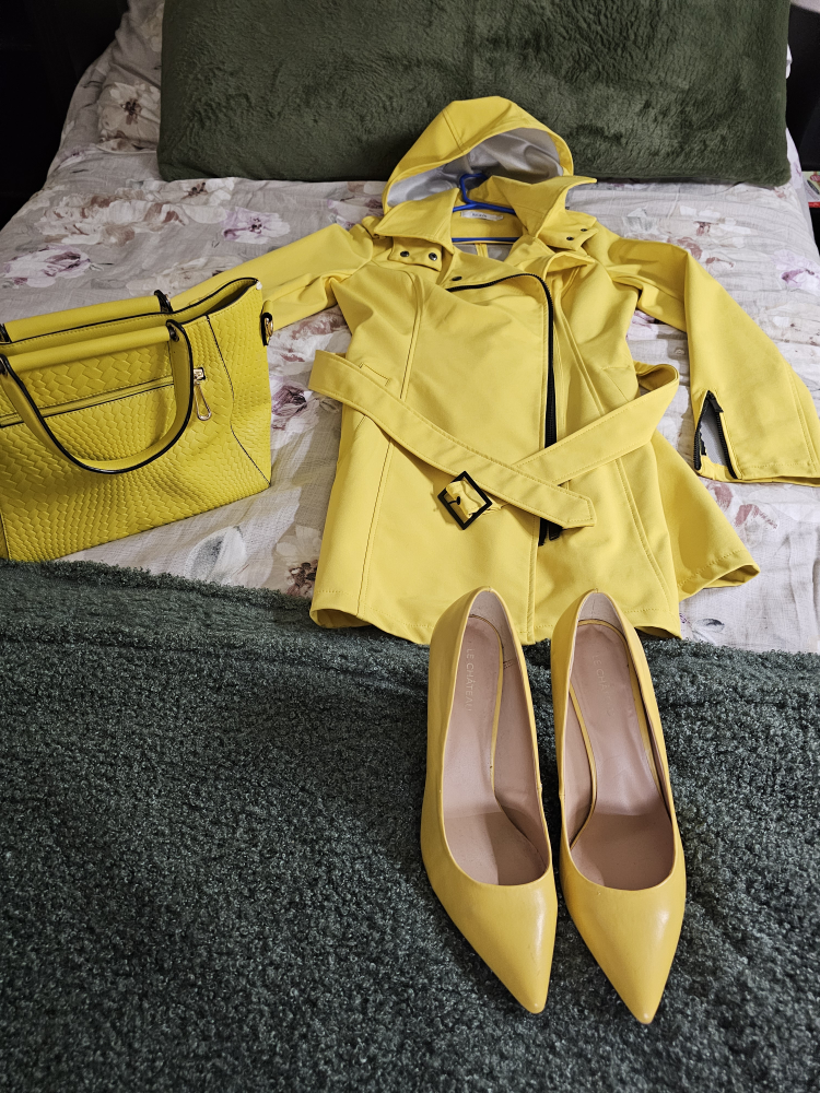 Woman's Shoes, Coat and Purse image indicator(3)