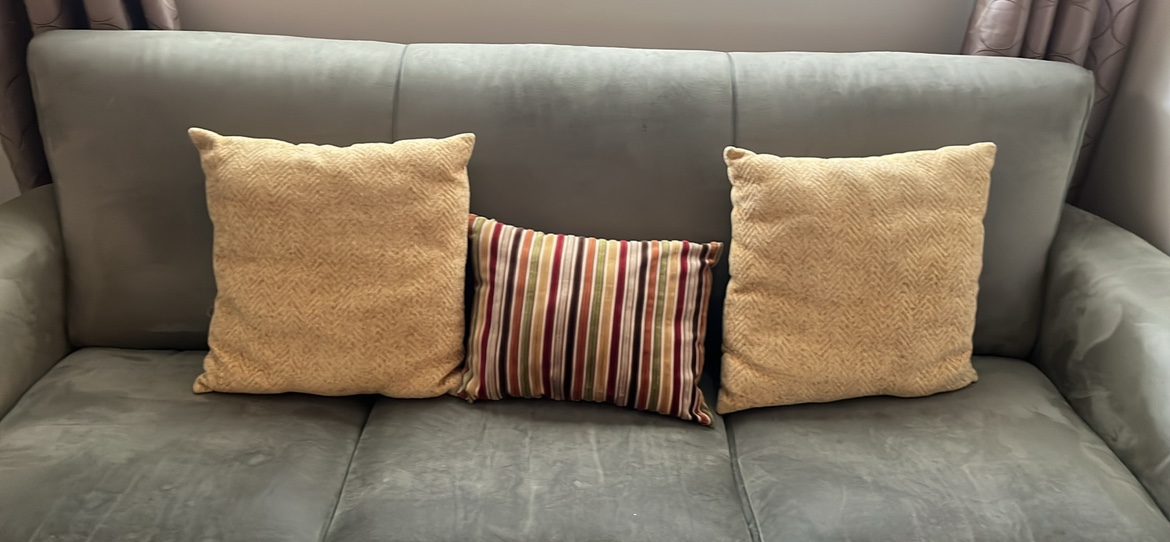 Throw pillows thumbnail