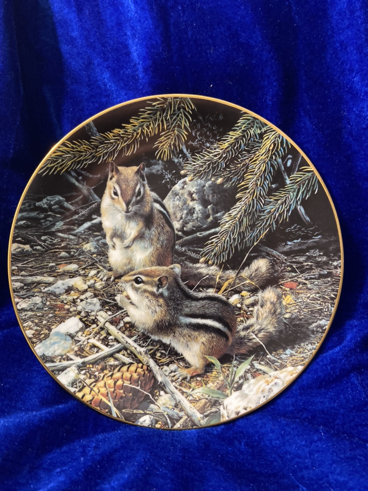 Woodland Series - "Beneath the Pines"