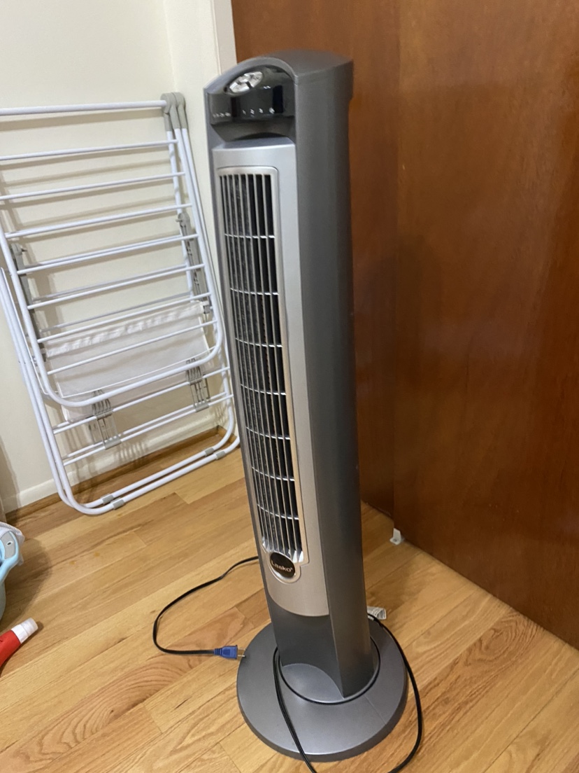 Fan - photo 2