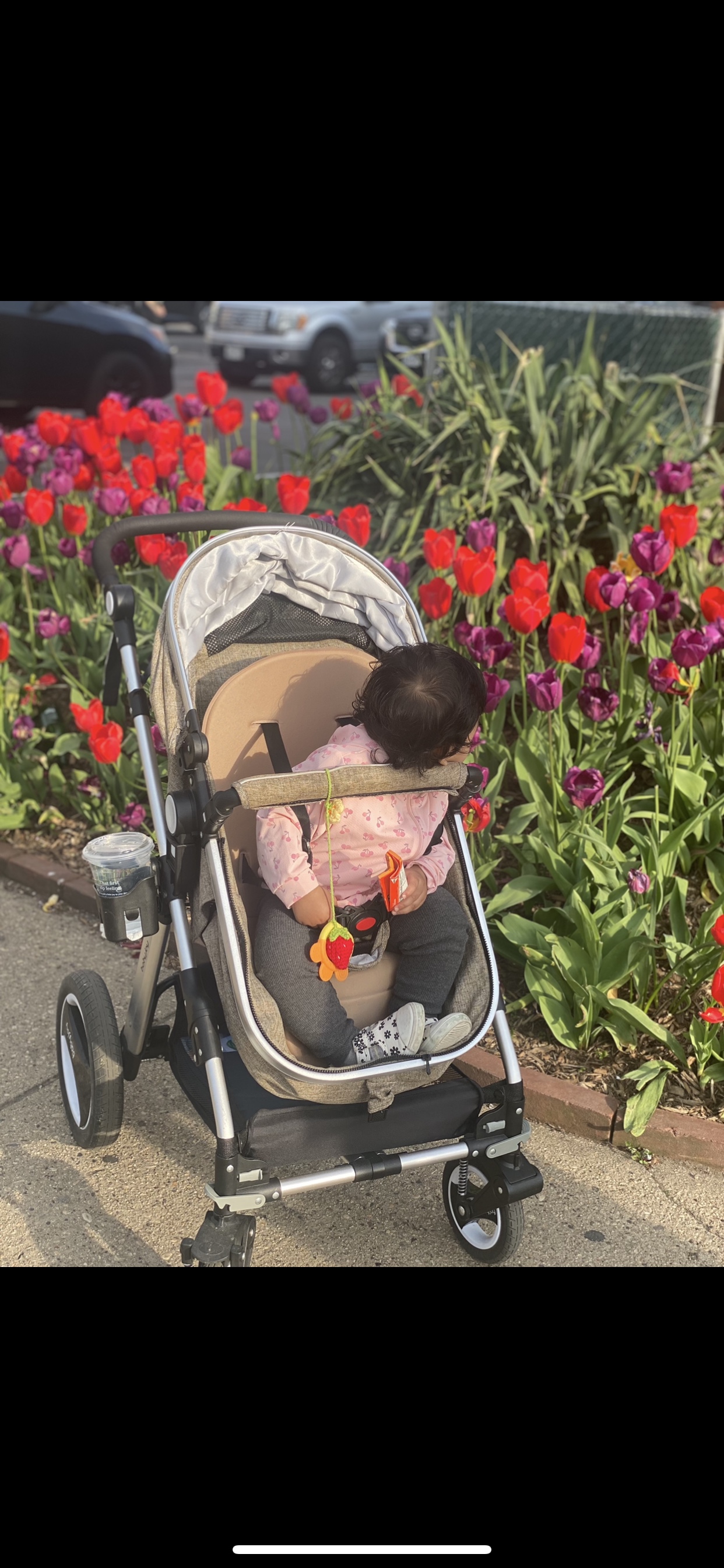 Babyjoy brand newborn to toddler stroller image indicator(6)