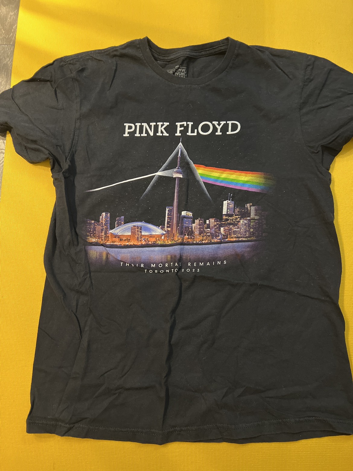 Pink floyd t-shirt (unisex)