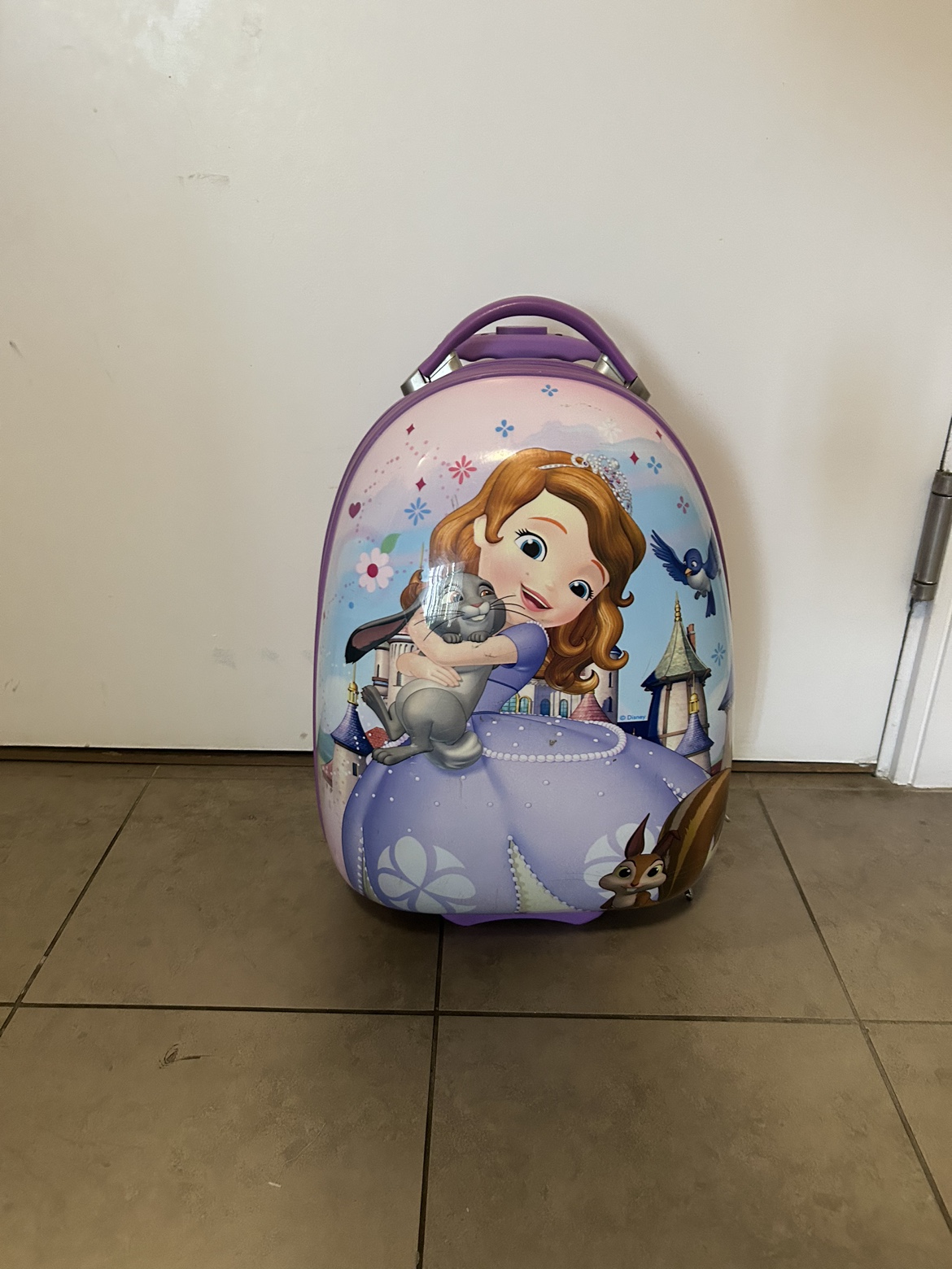 Kids luggage