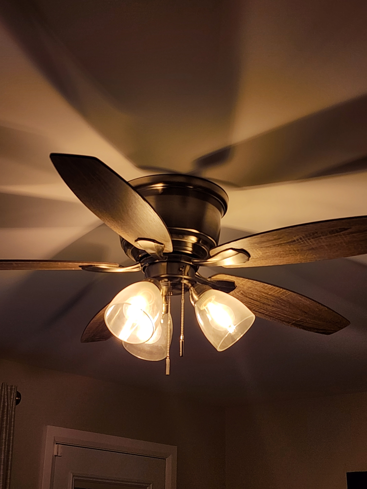 Ceiling fan with lights
