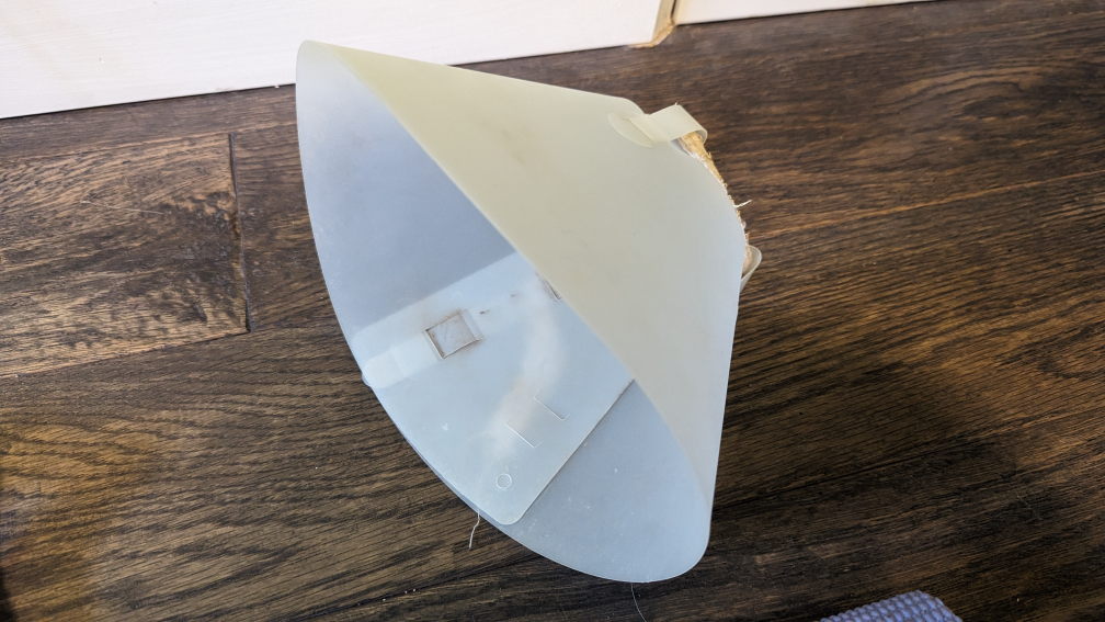 Cat accessories & cone Free 🧡 image indicator(2)