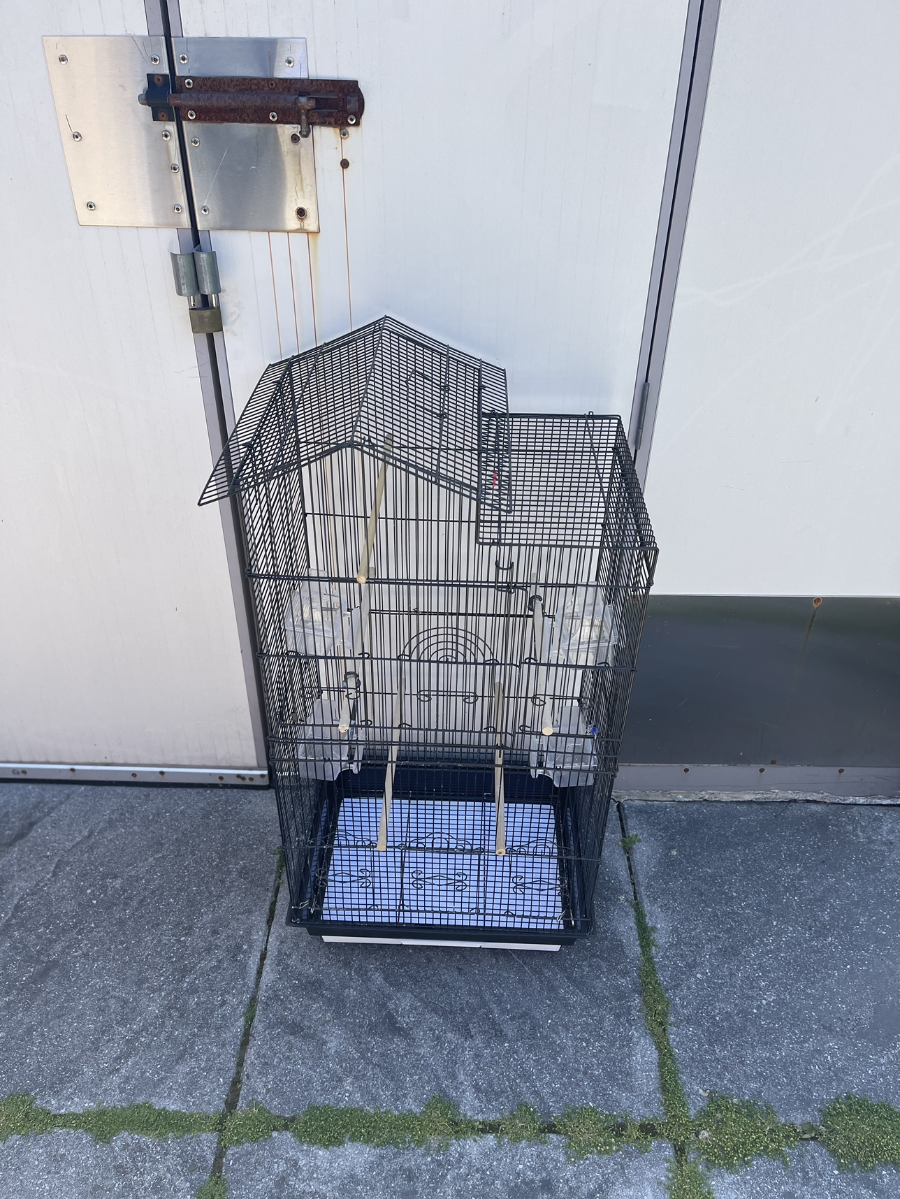 Bird Cage