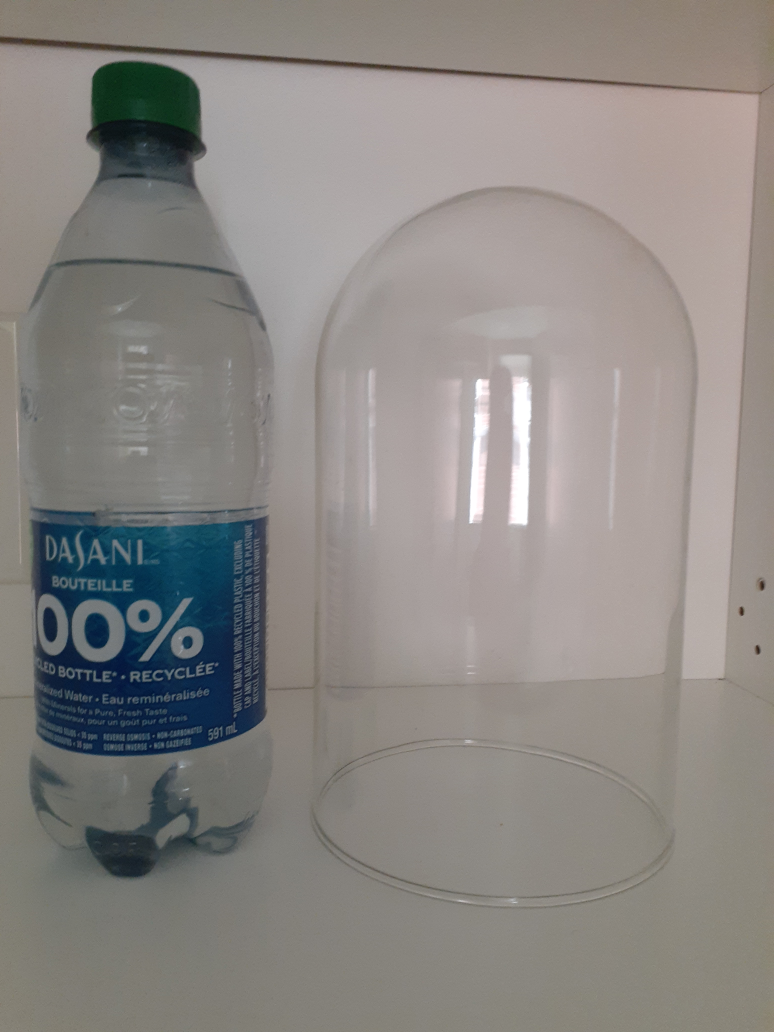 Cloche Glass Dome image indicator(2)