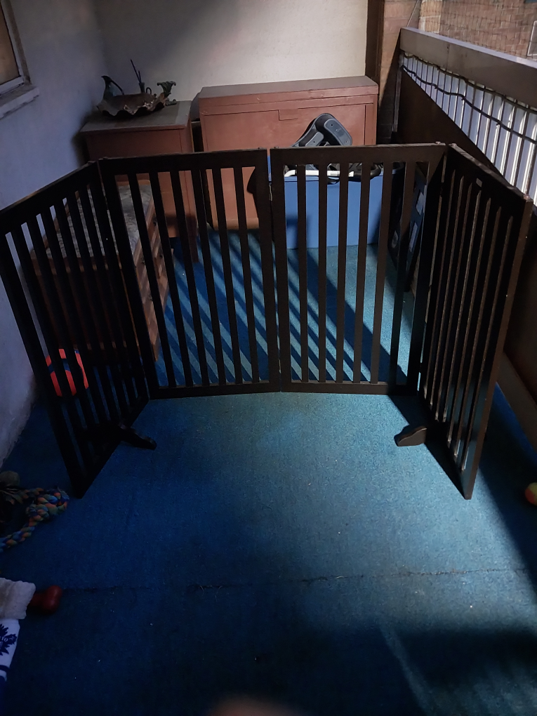 pet image indicator(2)