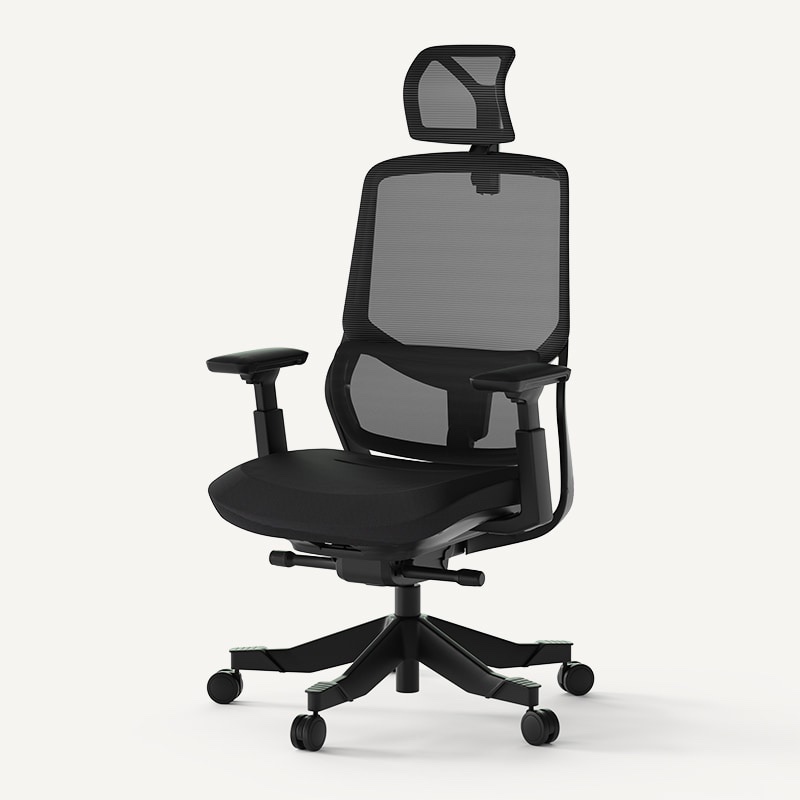 Unboxed Flexispot Soutien Ergonomic Office Chair OC10G