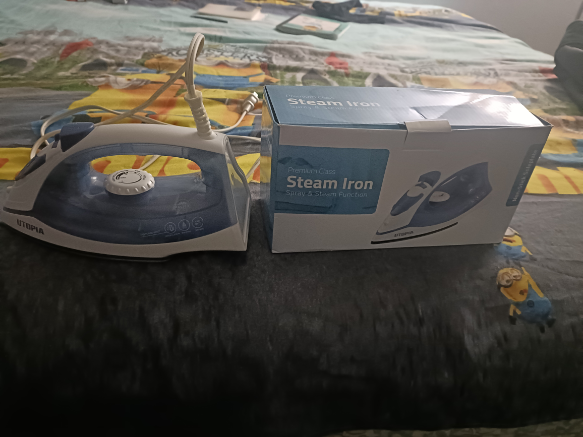 steam iron #freecycle - photo 2
