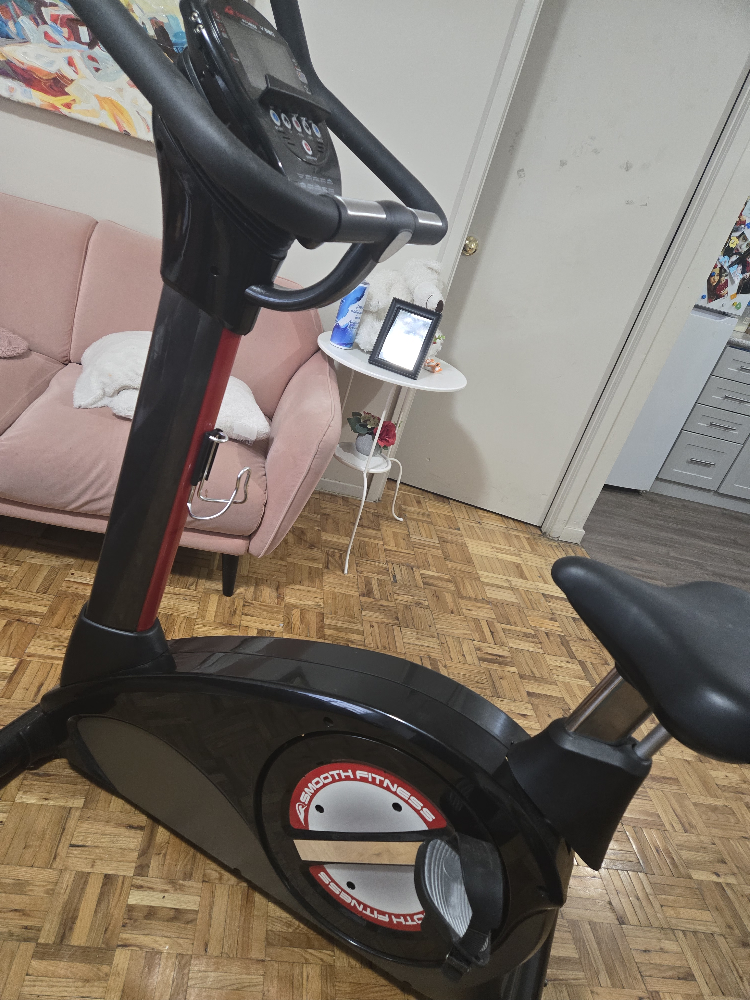Electric bike