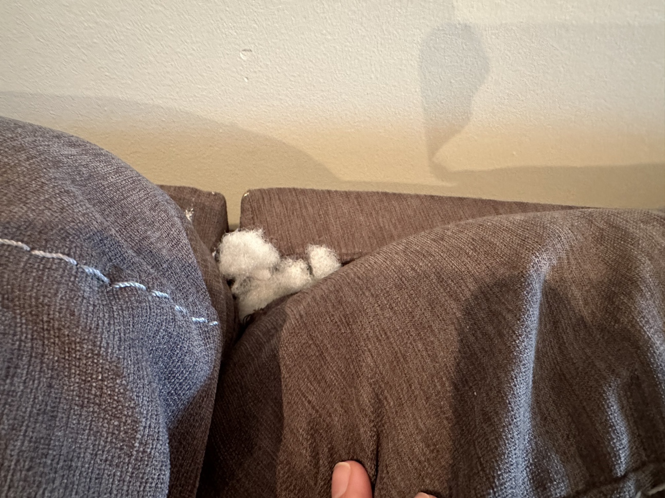 Sofa - photo 3