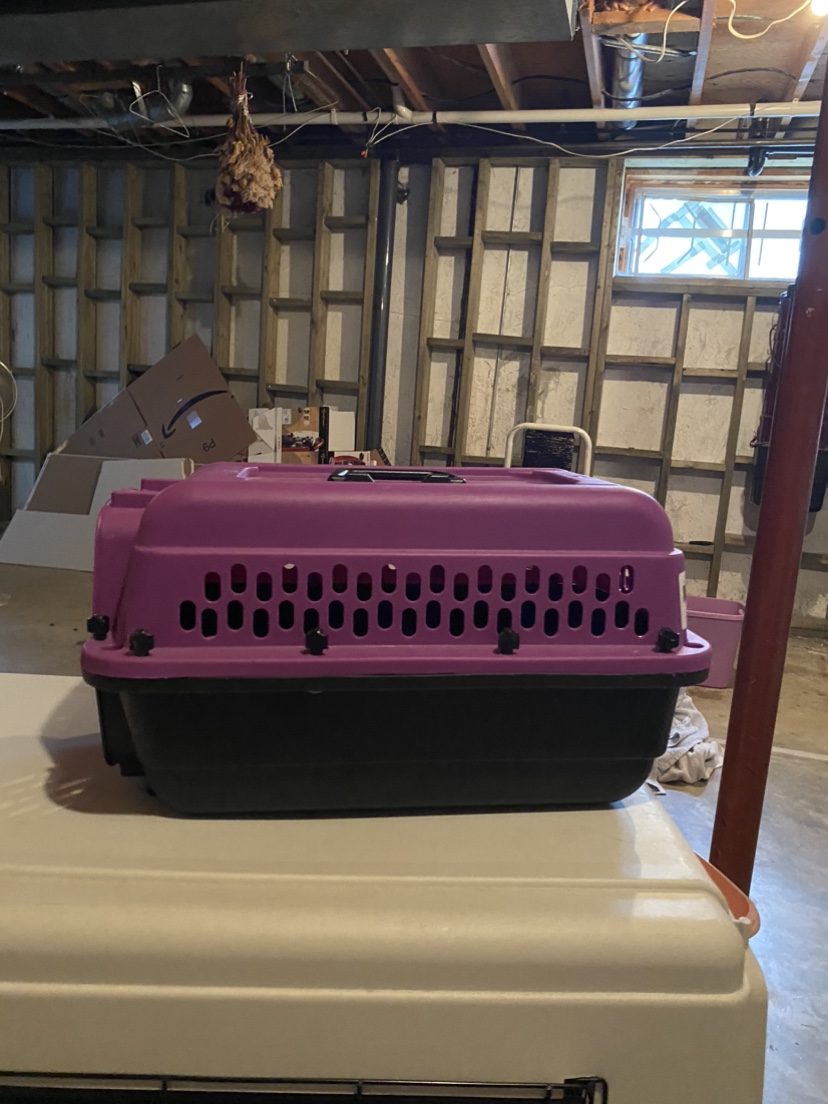 Small dog or cat kennel