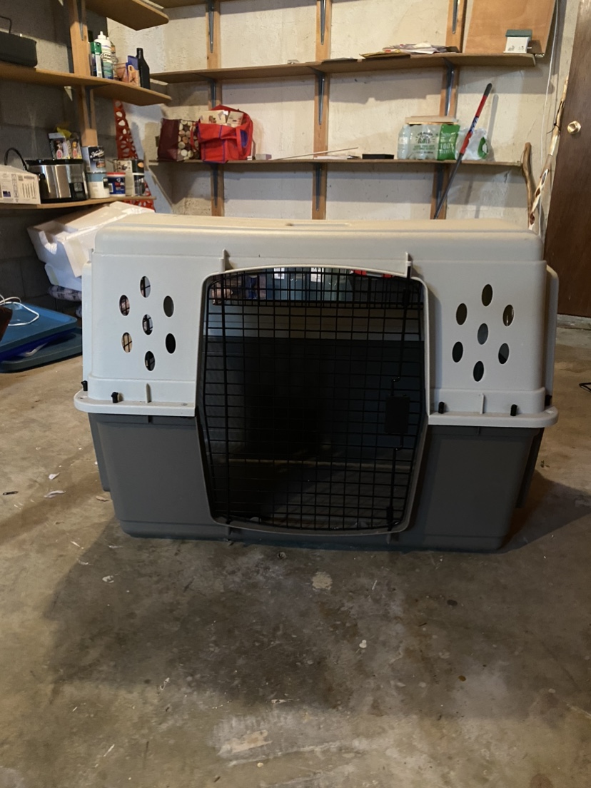 Large dog kennel