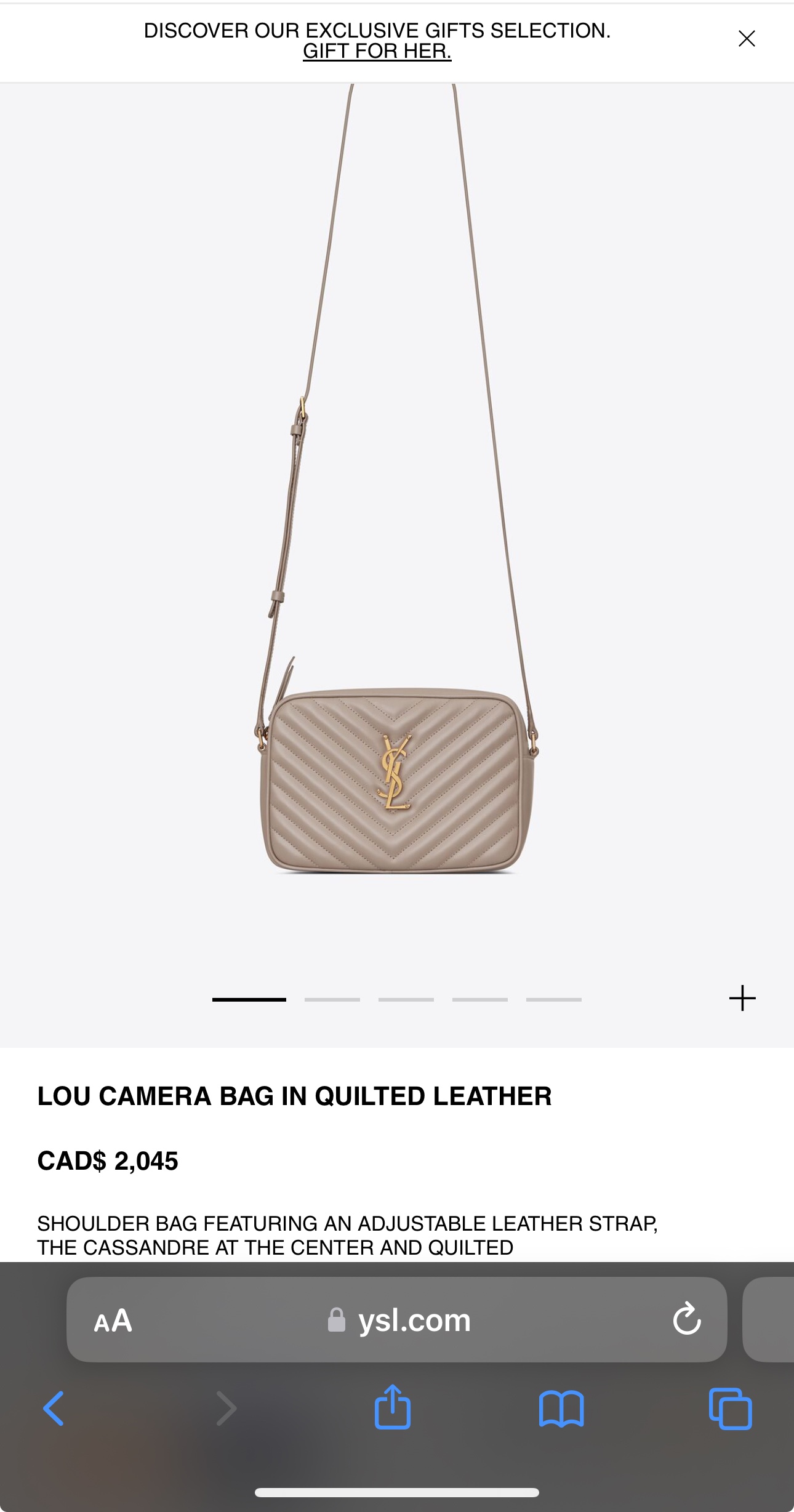 Brandnew YSL camera lou bag