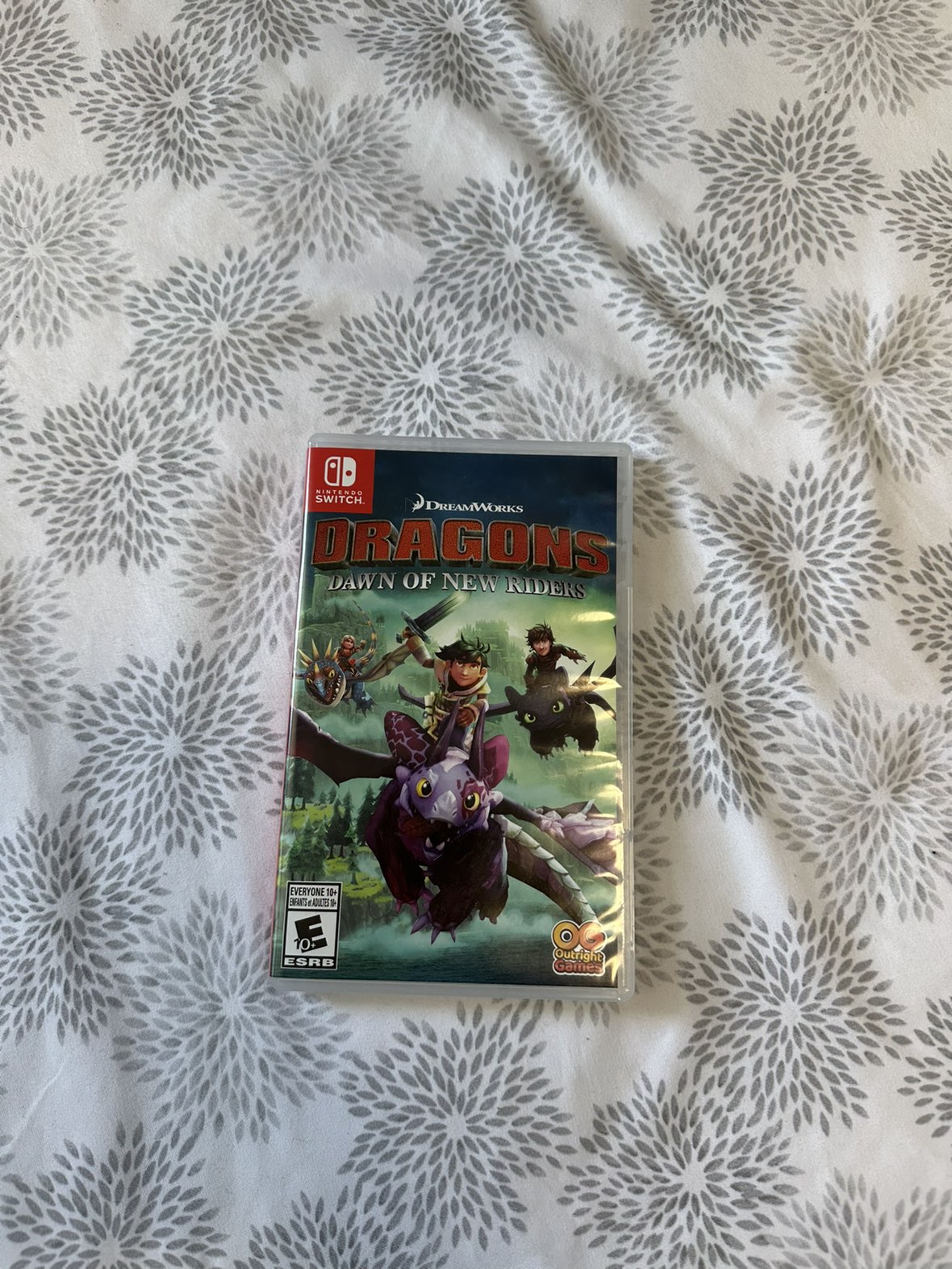 Dragons Dawn of New Riders (Nintendo Switch)