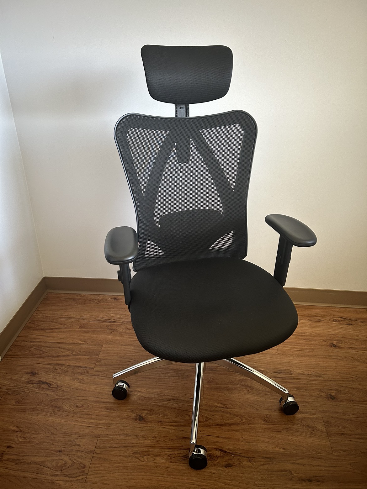Ergonomic Office Chair Sihoo M18