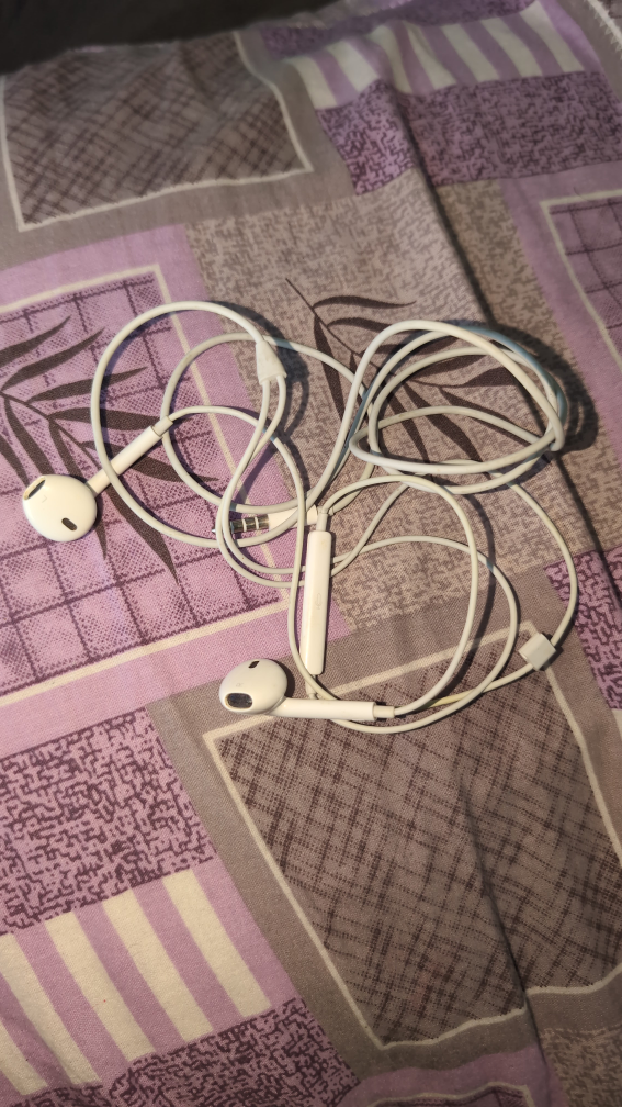 earphones