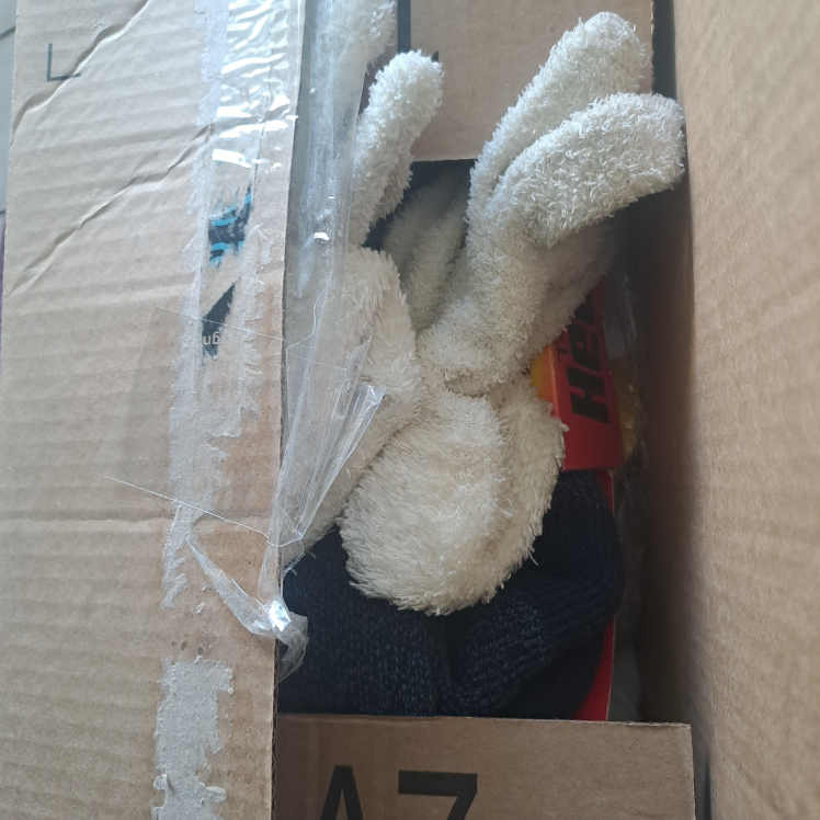 One box of mostly socks and one gloves winter