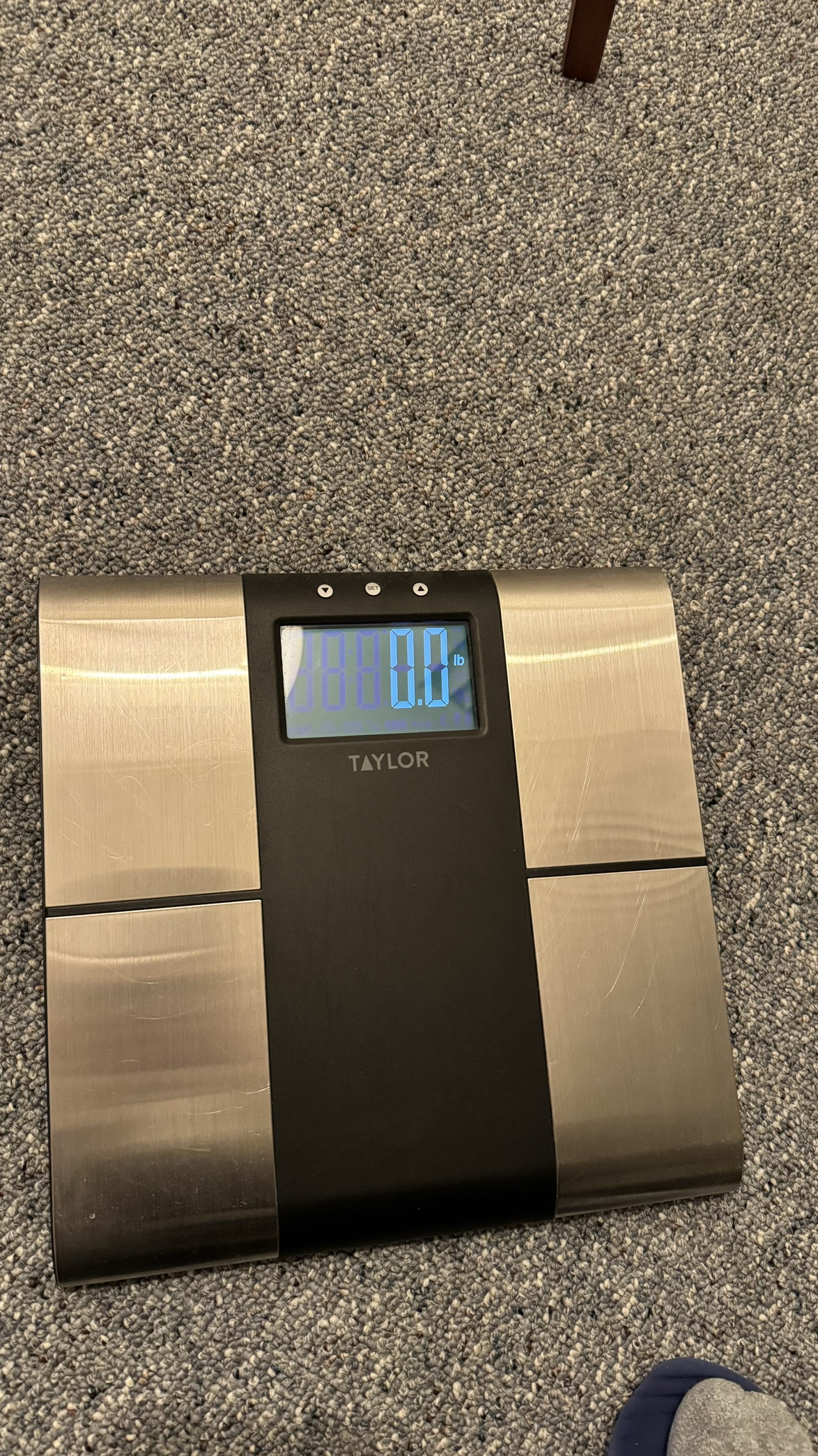 Body Scale with Body Fat, Body Water, Muscle Mass + BMI